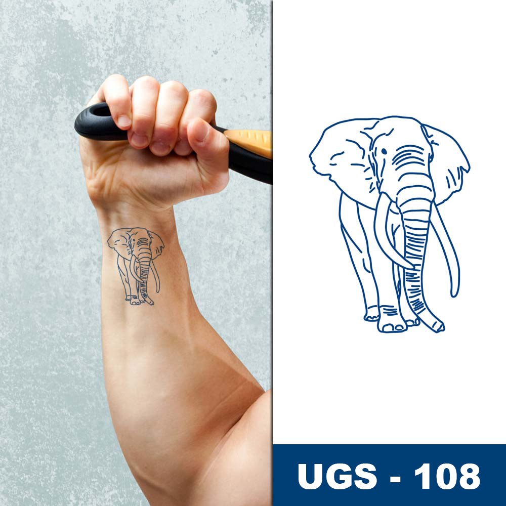 Éléphant élégant