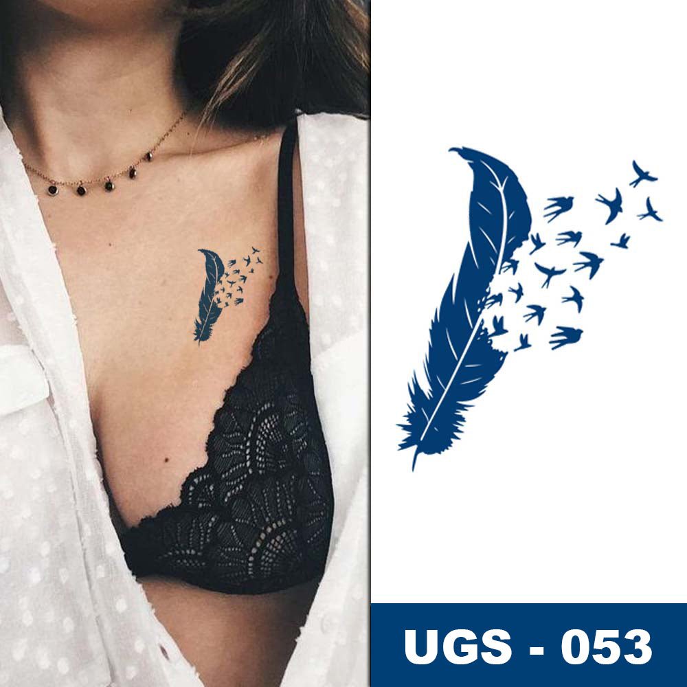 Plume envolée aux oiseaux