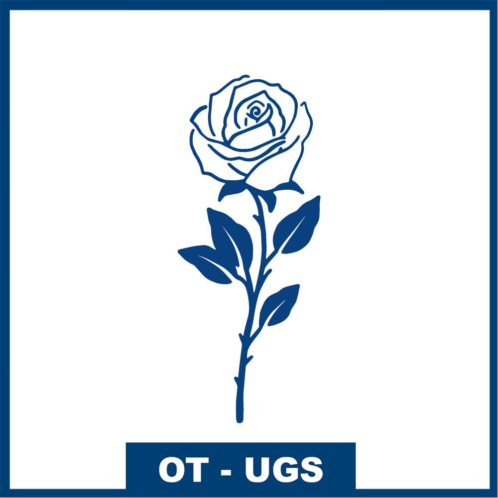 Rose élégante