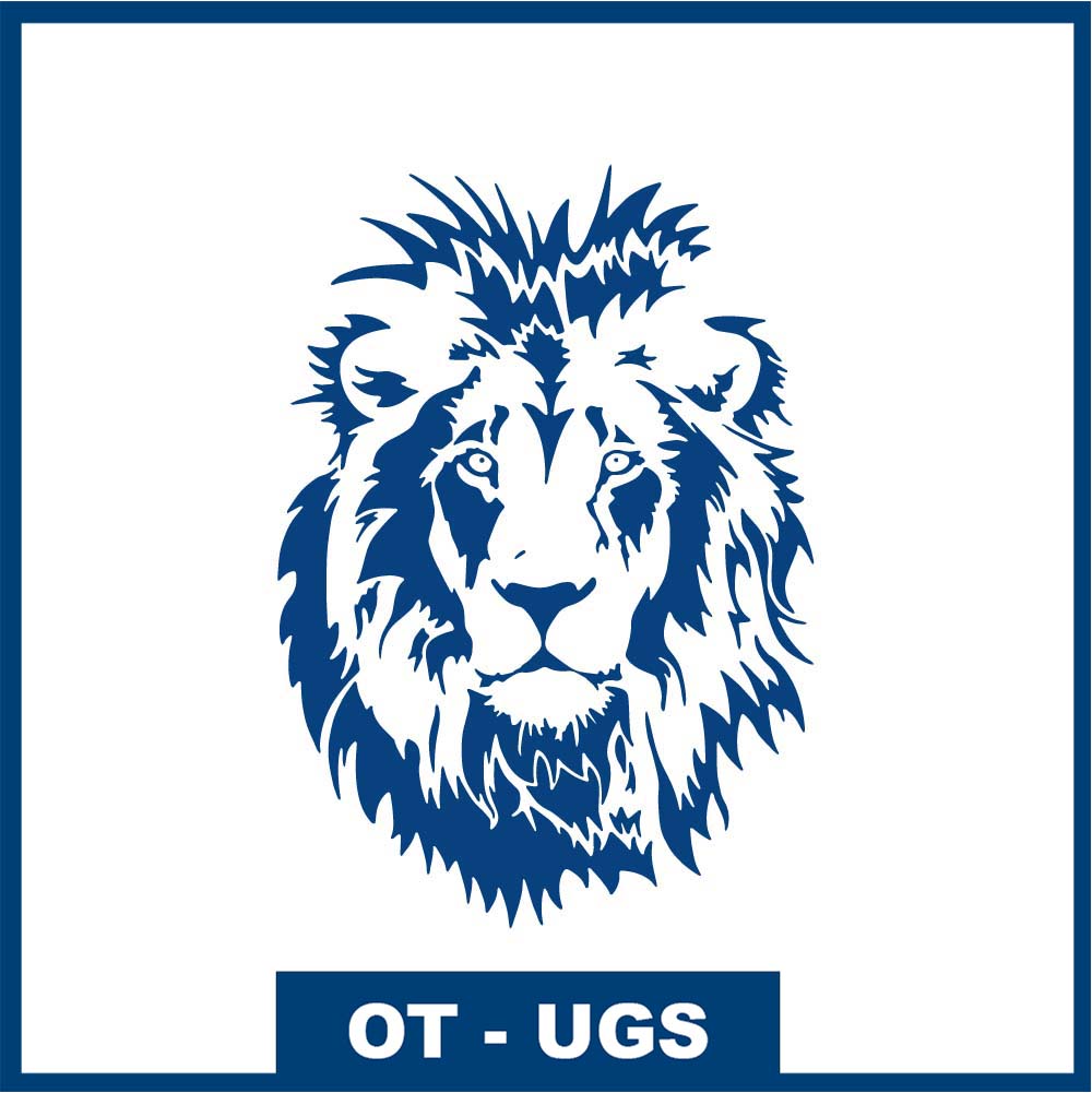 La Tête de Lion - La fierté du roi