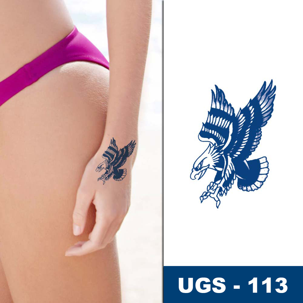 L'Aigle en Piqué - La conquête de la liberté