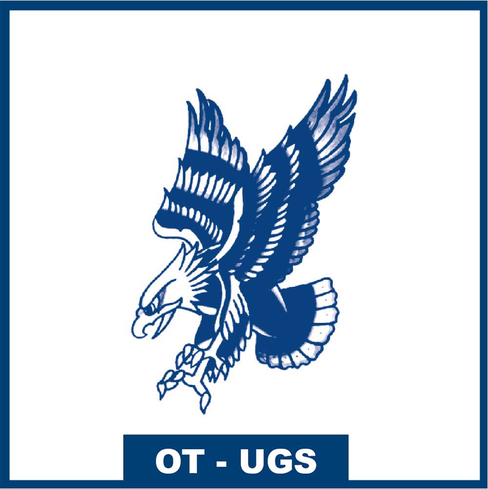 L'Aigle en Piqué - La conquête de la liberté