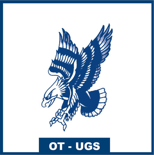 L'Aigle en Piqué - La conquête de la liberté