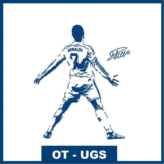 Célébration CR7 - Suiiiii