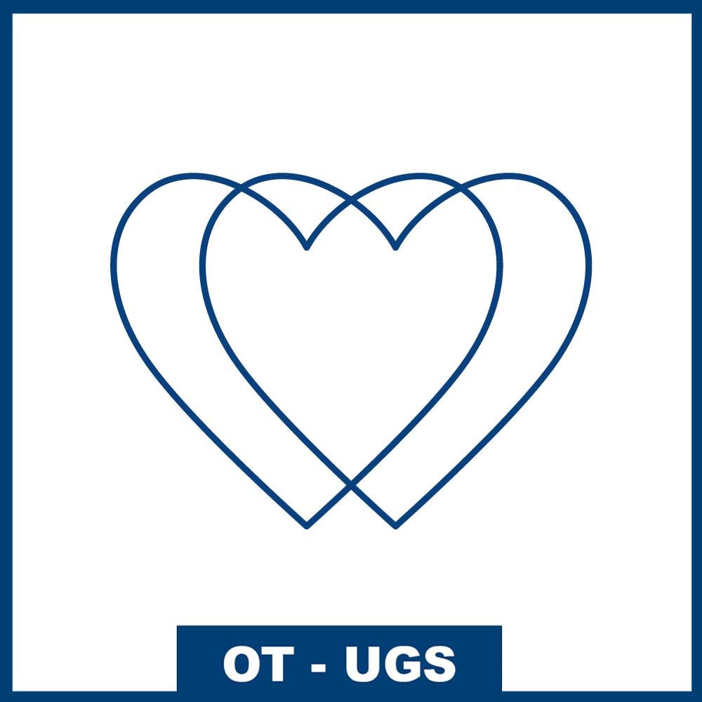 Connexion ultime de cœur