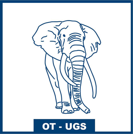 Éléphant élégant
