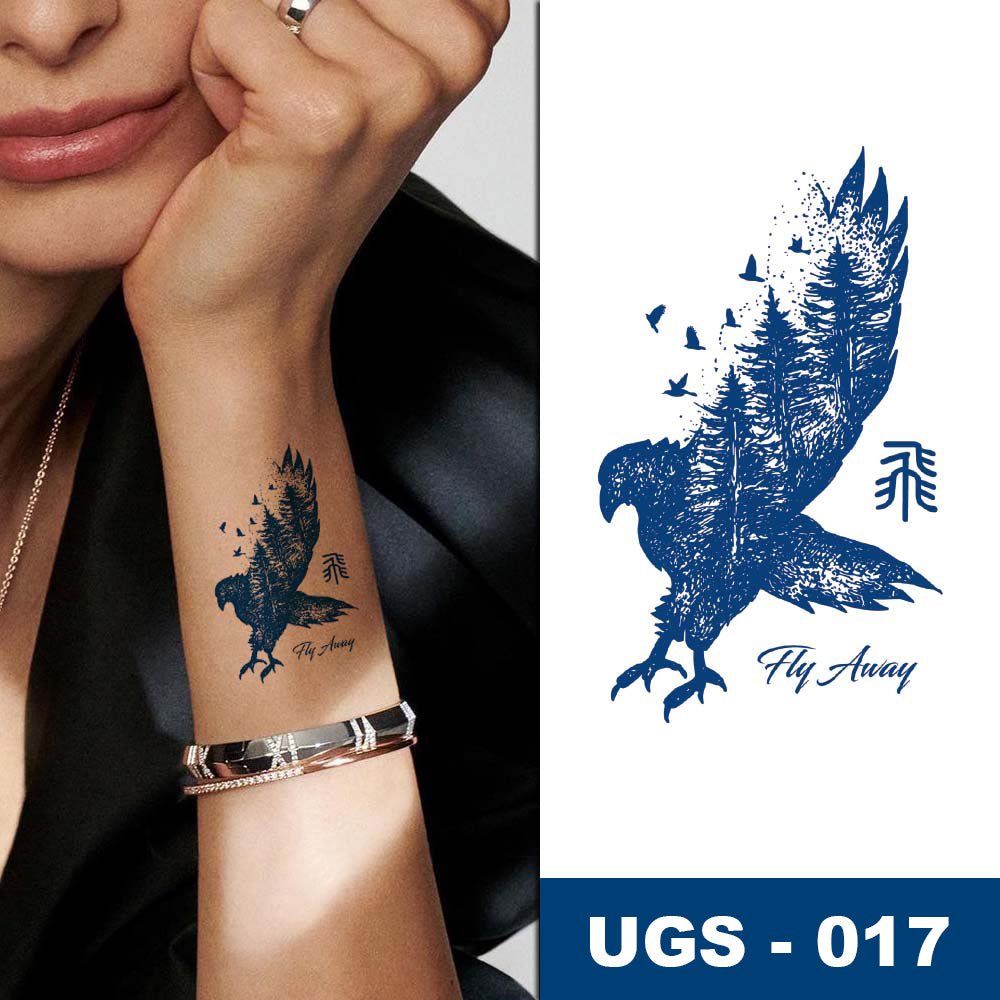 Envol Sauvage d'Aigle