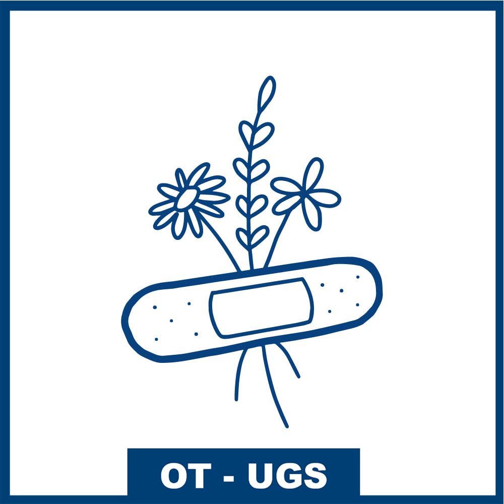 Fleur de guérison - Pansement floral