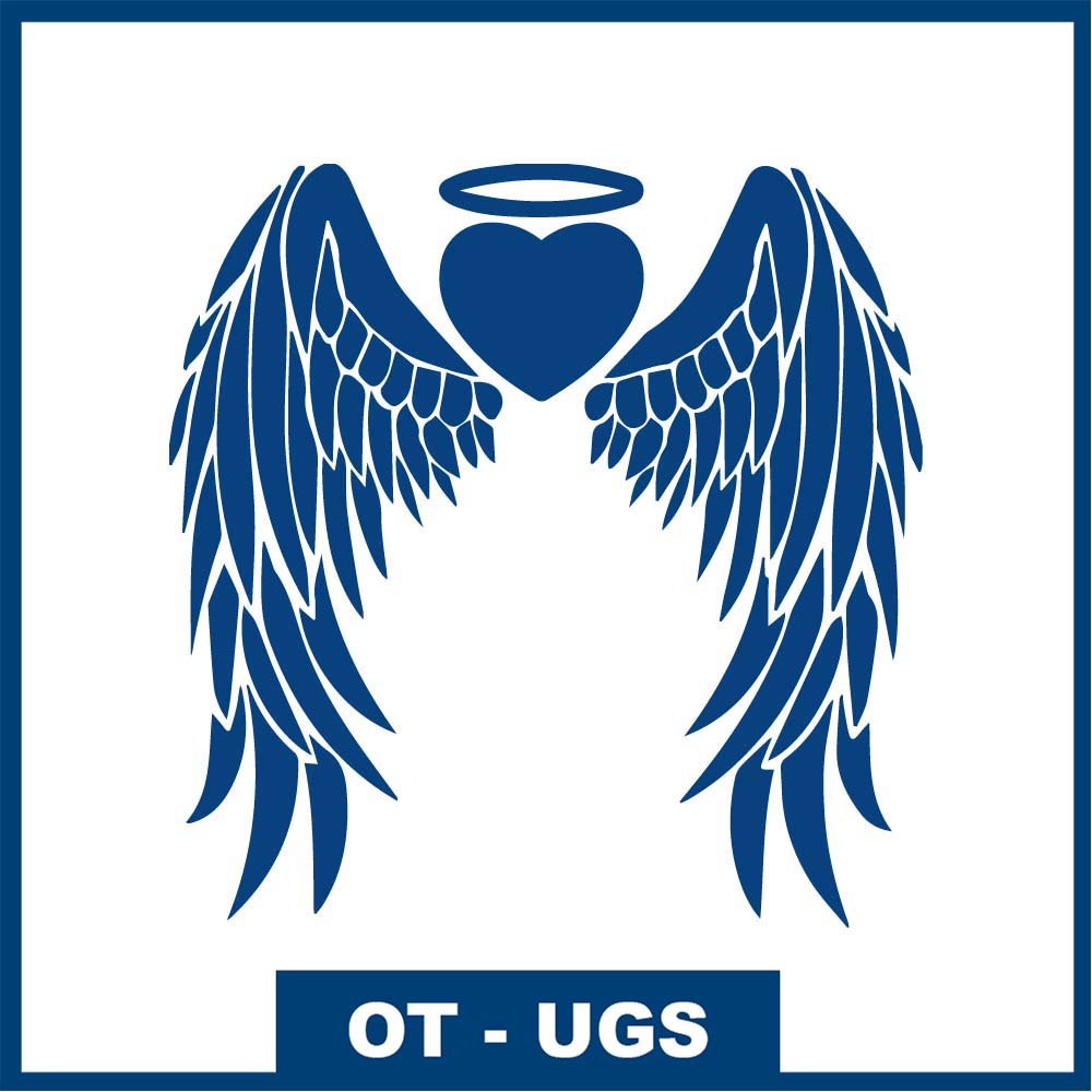 L'ange gardien - Cœur Ailé avec Auréole