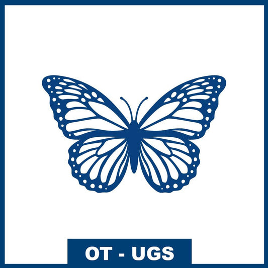 Papillon renaissance