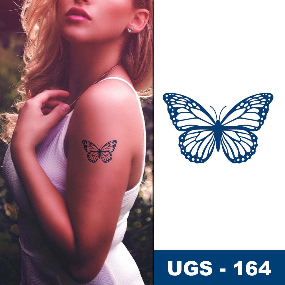 Papillon renaissance