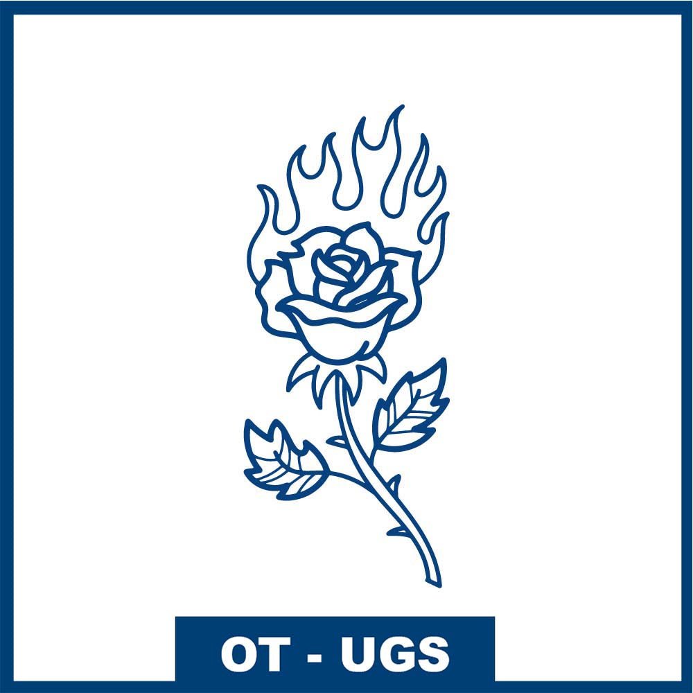 Rose en feu - Passion indomptable