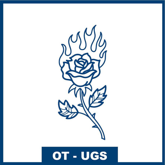 Rose en feu - Passion indomptable